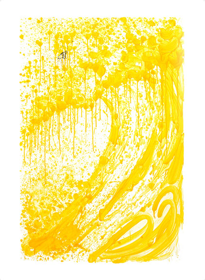 Tom Everhart Venice Moon Dogg E IV (JE)